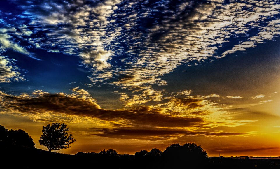 Tree evening abendstimmung