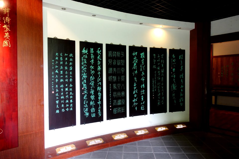 Exhibit in Wuyunxian Pavilion - Wangjianglou Park - Chengdu, China - DSC06082
