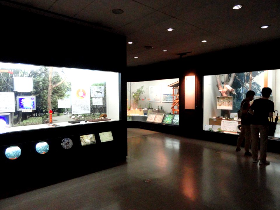 Exhibits - Osaka Museum of Natural History - DSC07710