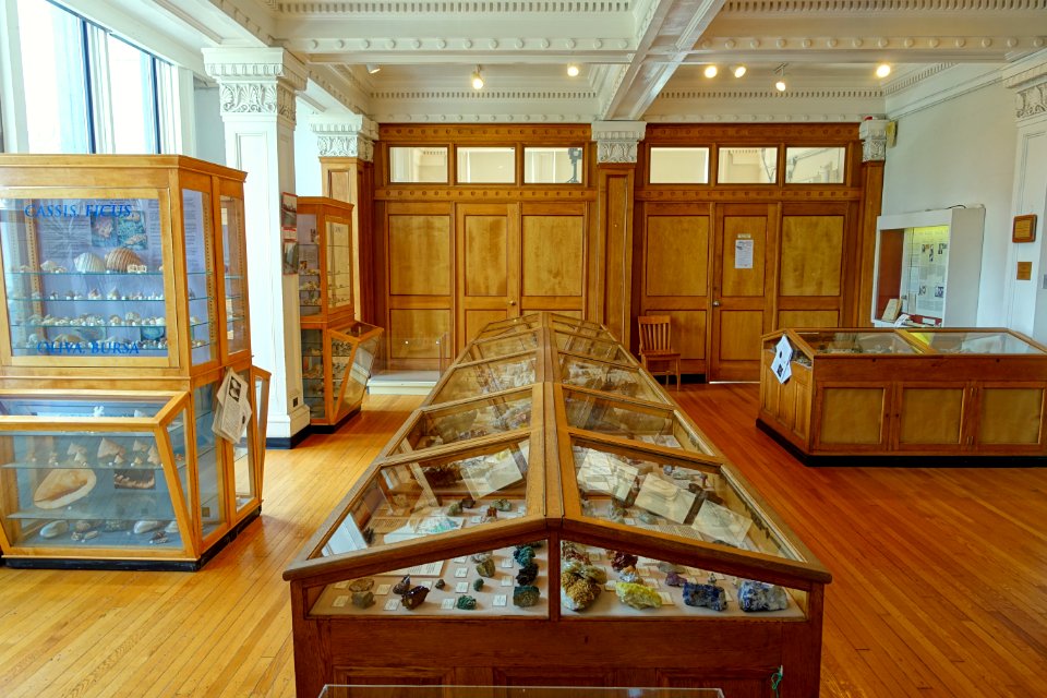 Exhibit cases - Redpath Museum - McGill University - Montreal, Canada - DSC07840