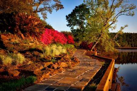 Scenic nature outside
