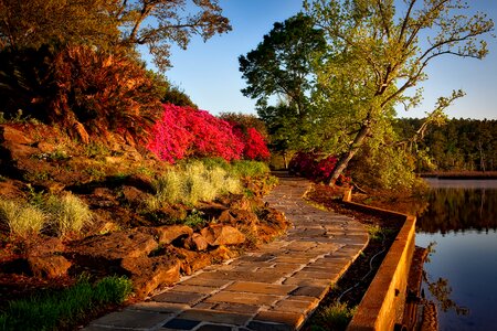 Scenic nature outside photo