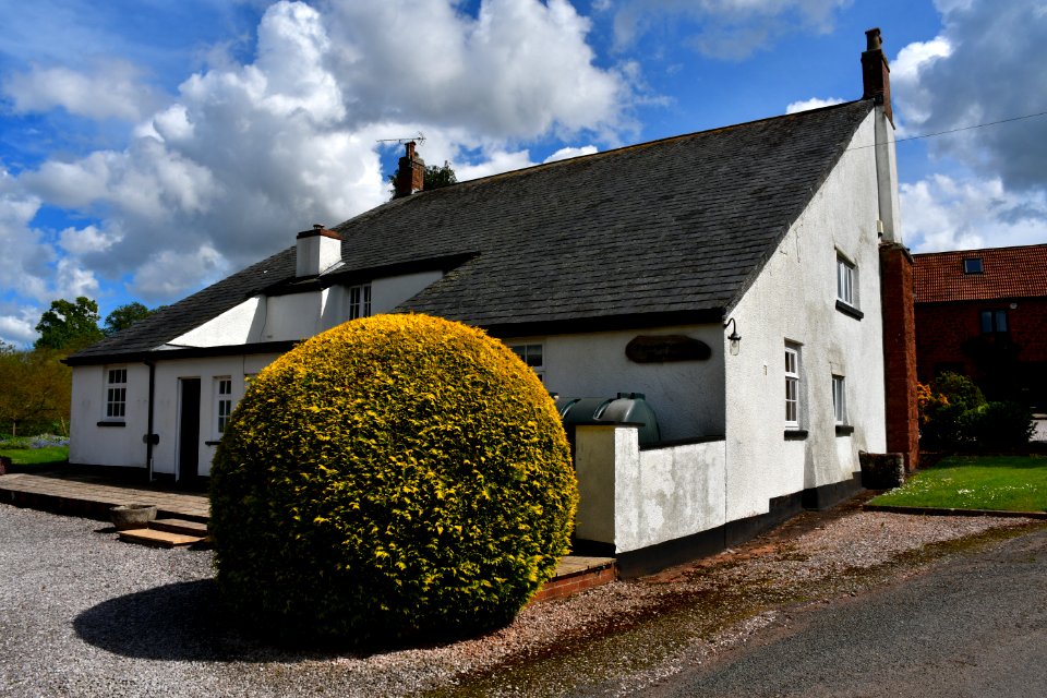Exminster (2021-05-19) 19