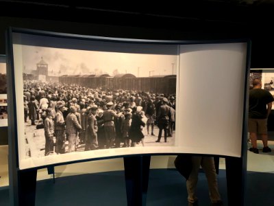 Exhibition The persecution of the Jews in photographs - extermination
