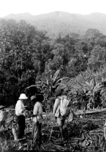 Exp. Erland Nordenskiöld i Bogotáindianernas land. Mannen i solhjälm är Erl. Norenskiöld. Panama - SMVK - 004236