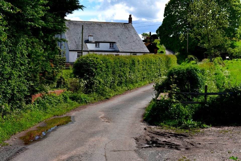 Exminster (2021-05-19) 18