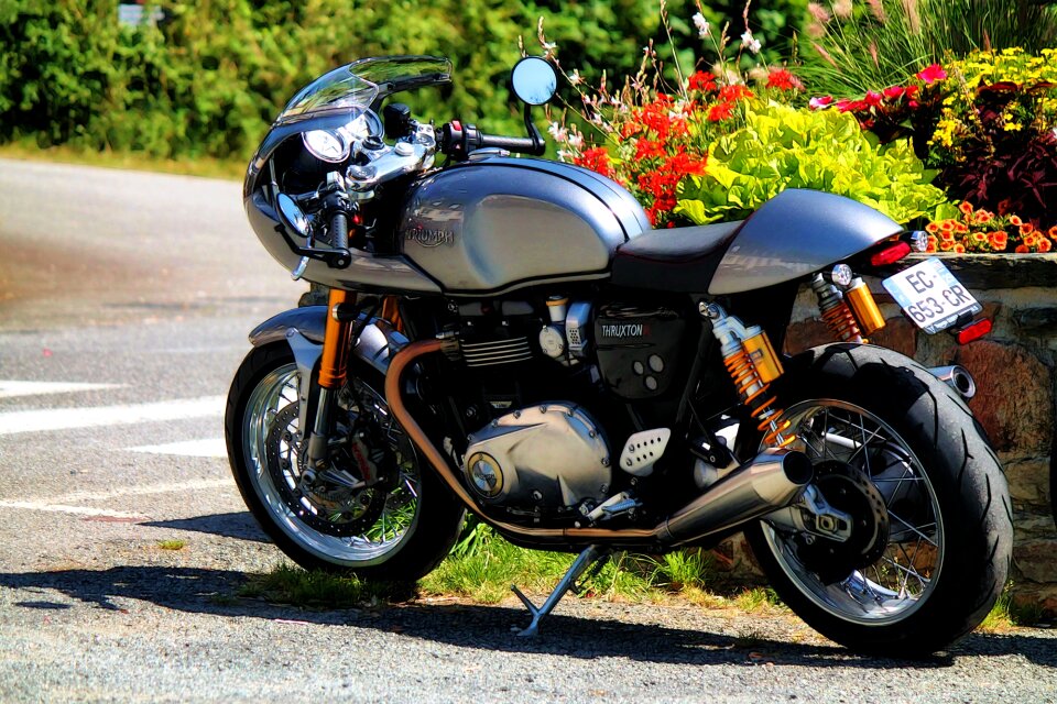 Triumph thruxton british parallel-twin