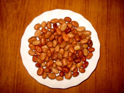 Fava Beans Dried photo