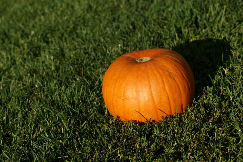 Autumn october season