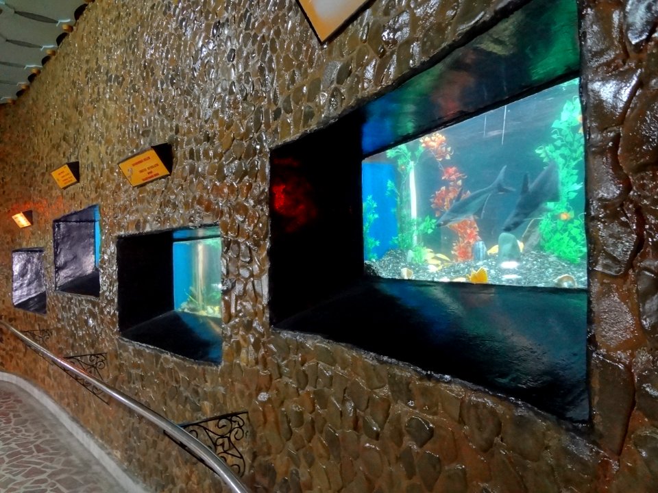 Falticeni musee mihai bacescu 10