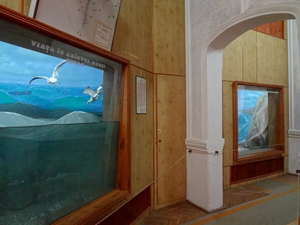 Falticeni musee mihai bacescu 21