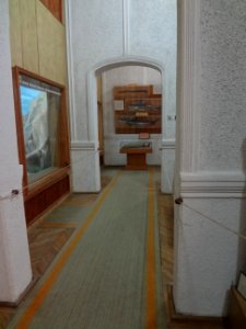 Falticeni musee mihai bacescu 23