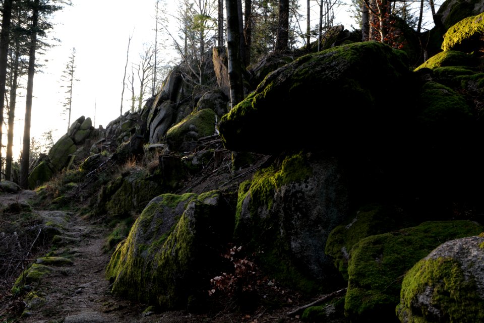 Falkenfelsen 2020-03-14 03
