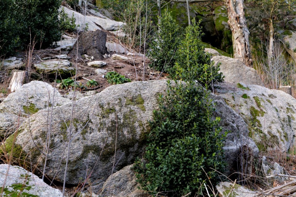 Falkenfelsen 2020-03-14 16