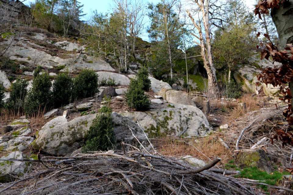 Falkenfelsen 2020-03-14 13