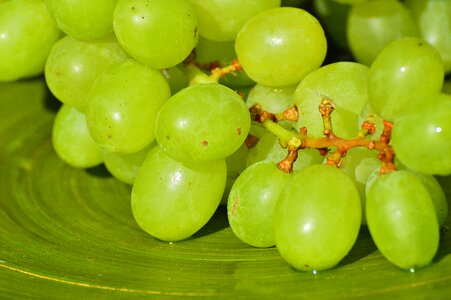 Fruit food green