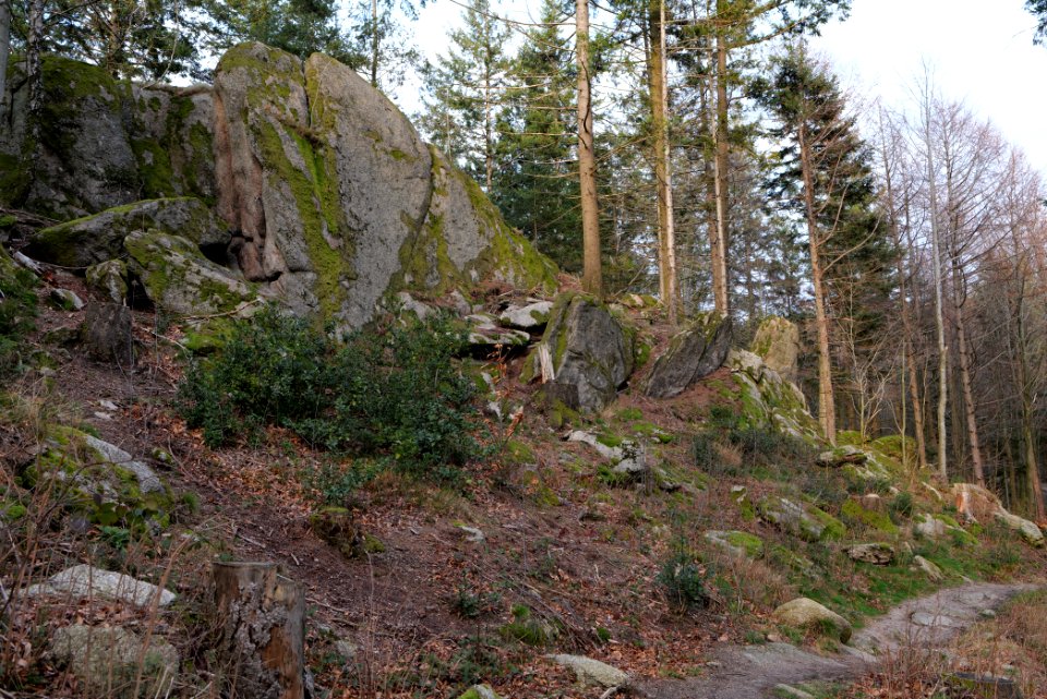 Falkenfelsen 2020-03-14 07