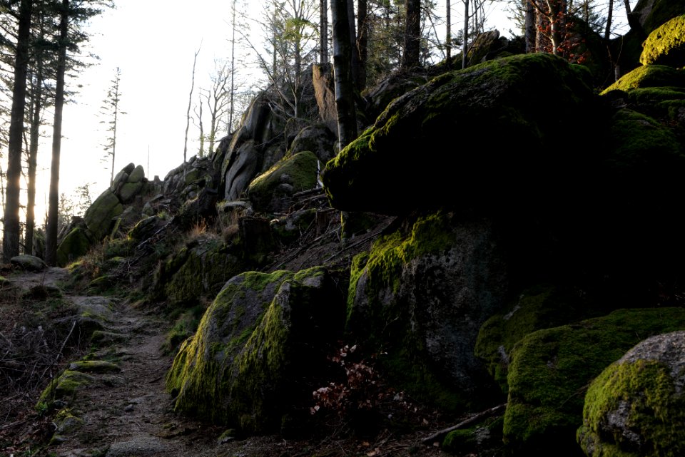 Falkenfelsen 2020-03-14 04