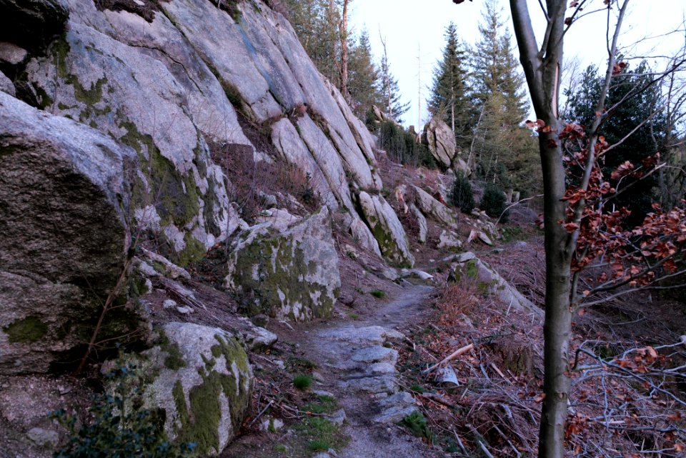 Falkenfelsen 2020-03-14 57