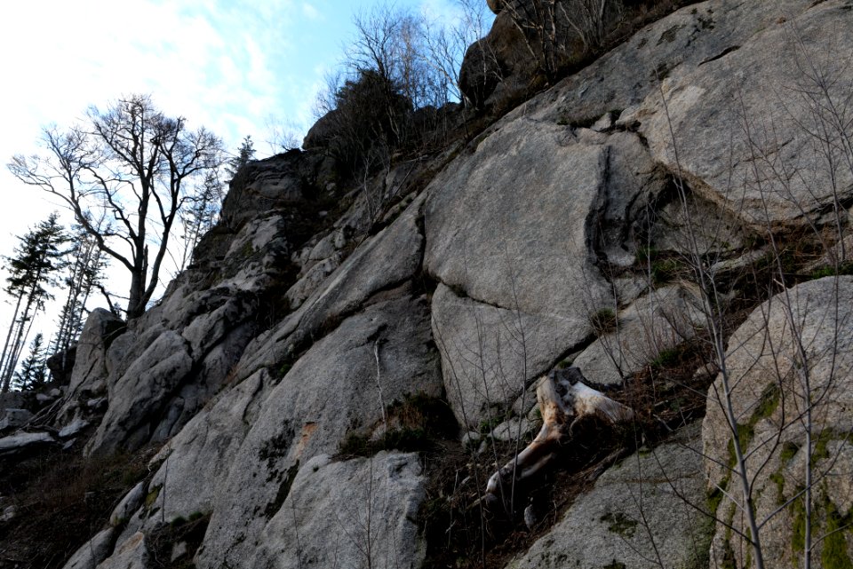 Falkenfelsen 2020-03-14 19
