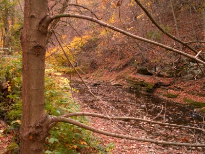 Fall colors, 2020-10-27, Seldom Seen, 01