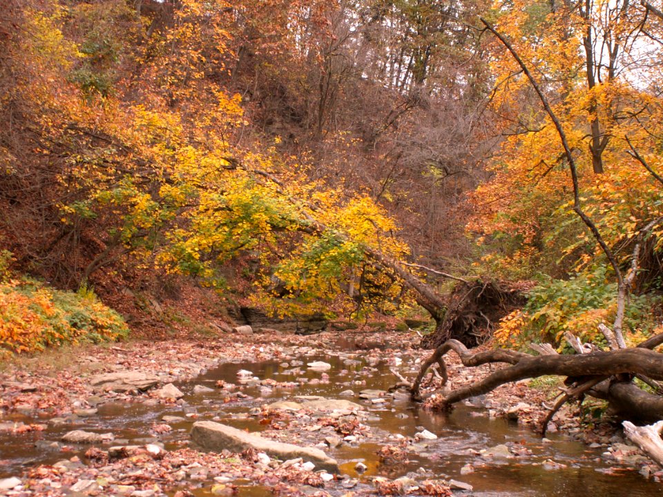 Fall colors, 2020-10-27, Seldom Seen, 03