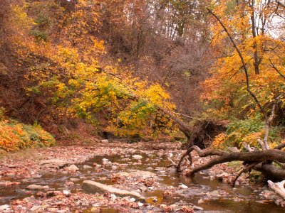 Fall colors, 2020-10-27, Seldom Seen, 03