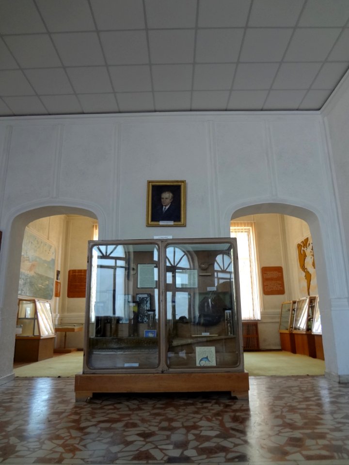 Falticeni musee mihai bacescu 41
