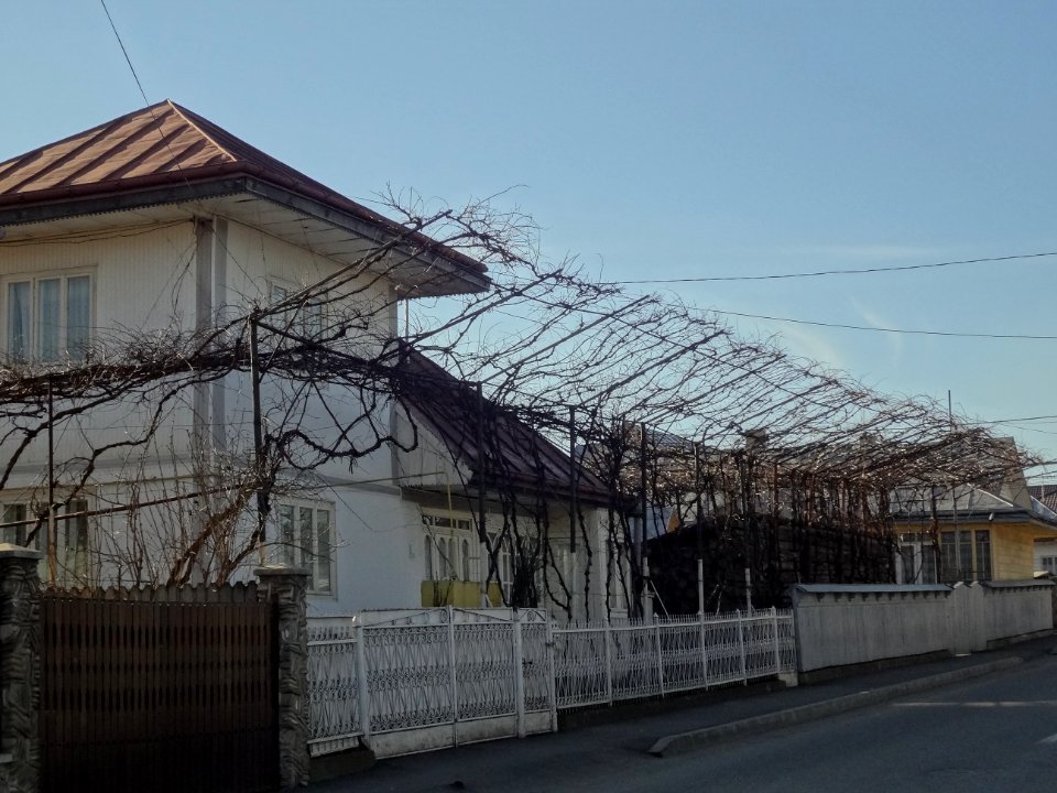 Falticeni maison 34
