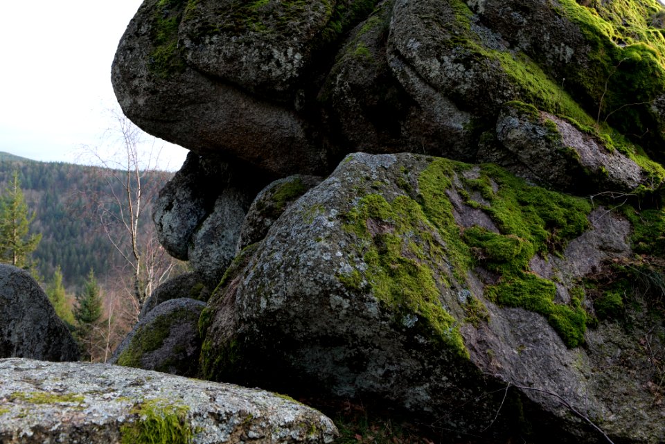 Falkenfelsen 2020-03-14 12