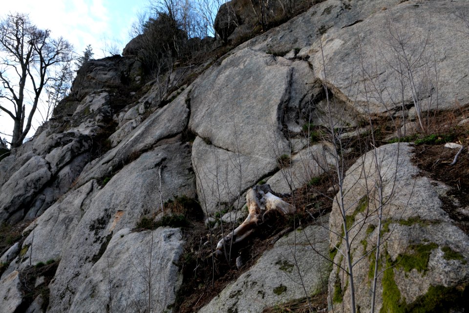 Falkenfelsen 2020-03-14 20