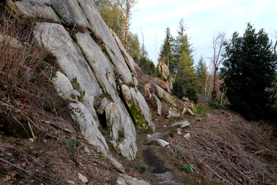 Falkenfelsen 2020-03-14 24