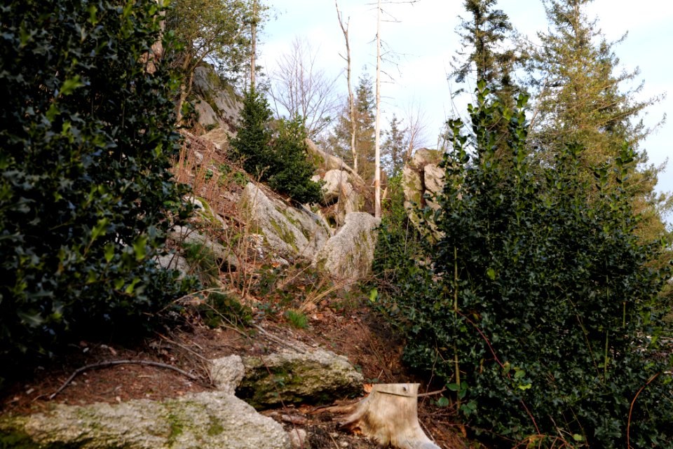 Falkenfelsen 2020-03-14 22