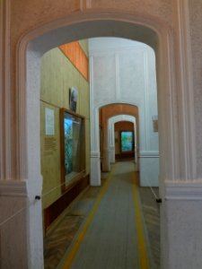 Falticeni musee mihai bacescu 38