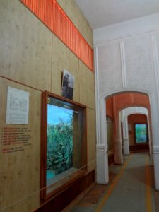 Falticeni musee mihai bacescu 36