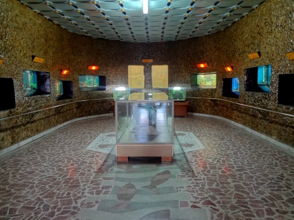 Falticeni musee mihai bacescu 9