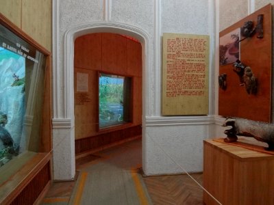 Falticeni musee mihai bacescu 30