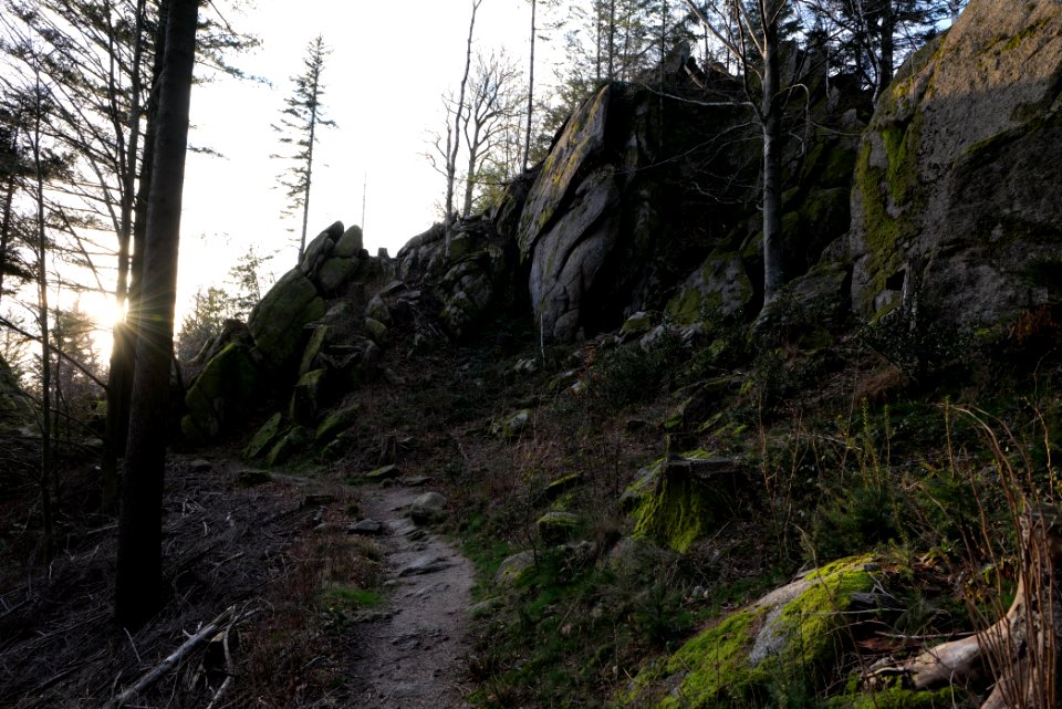 Falkenfelsen 2020-03-14 05