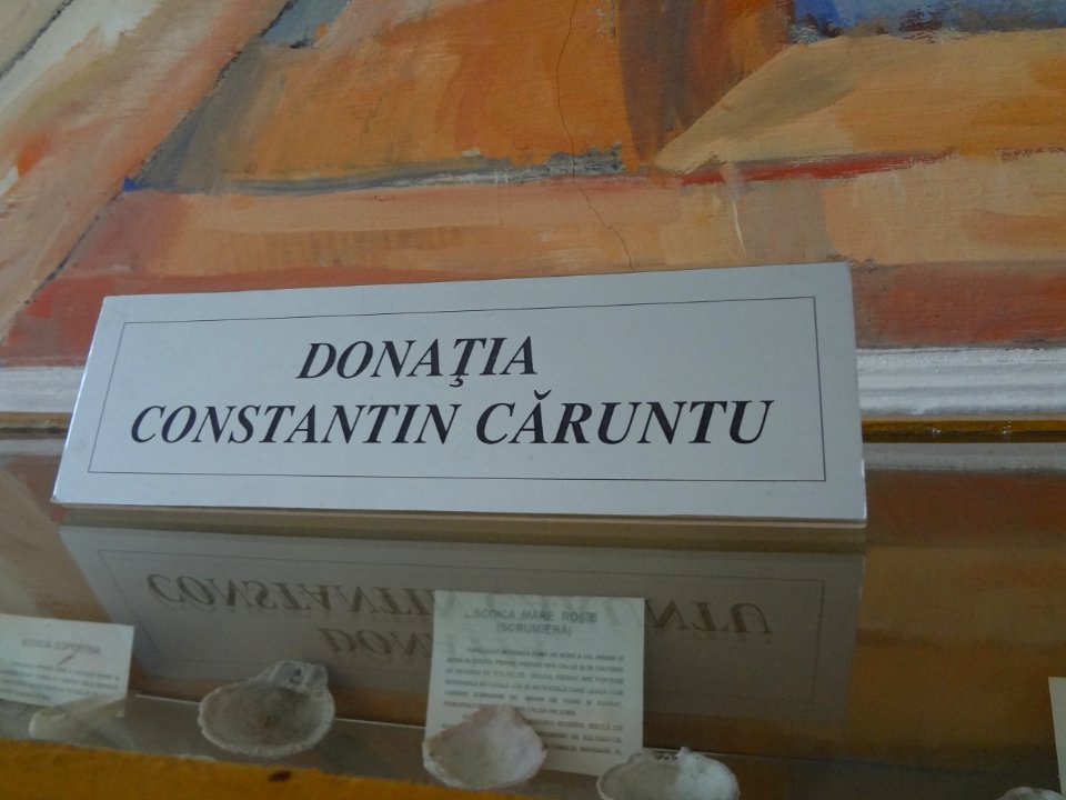 Falticeni musee mihai bacescu 42 donation caruntu