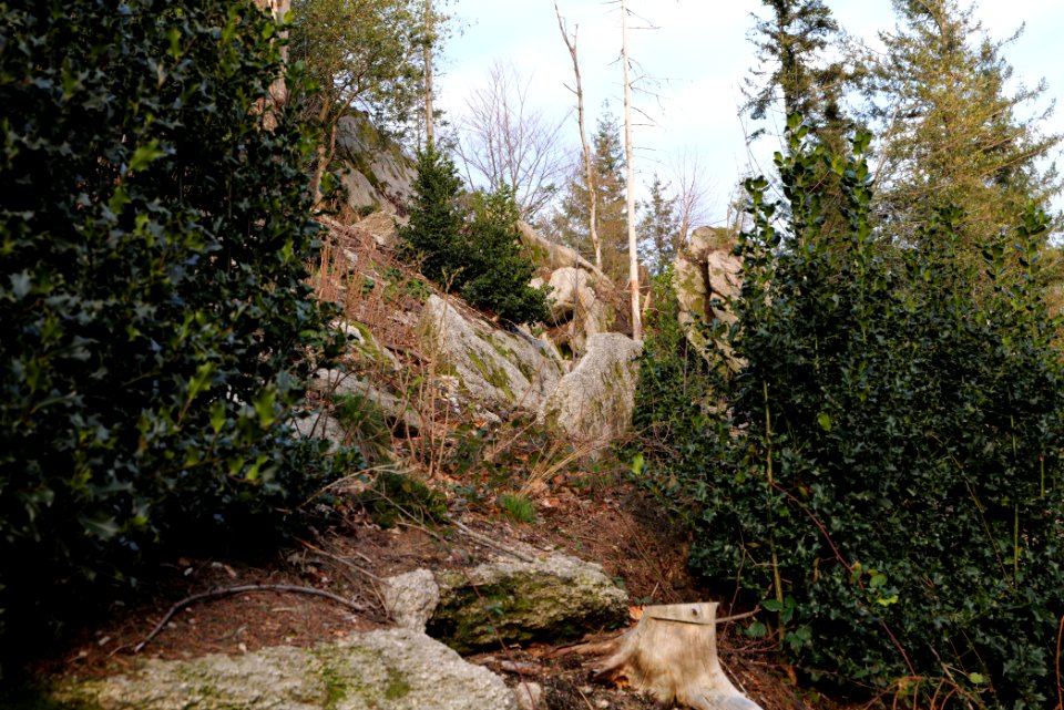Falkenfelsen 2020-03-14 21