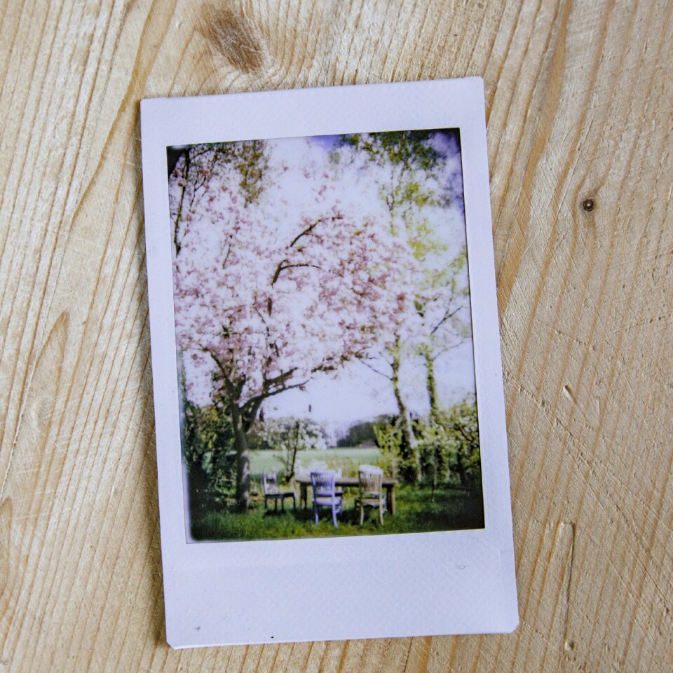 Vintage photograph nostalgia