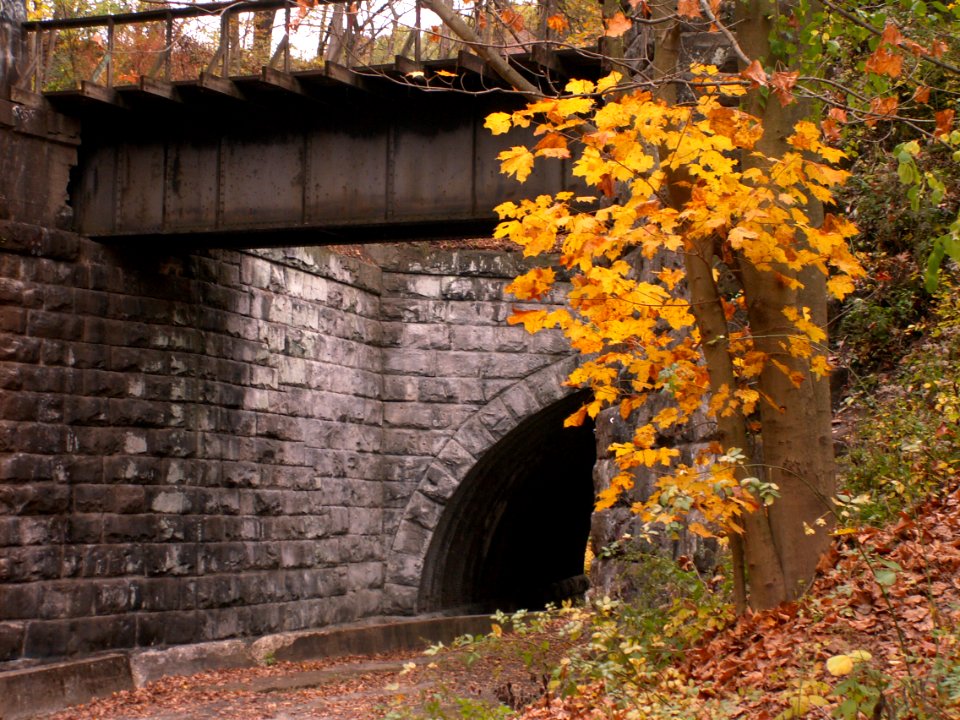 Fall colors, 2020-10-27, Seldom Seen, 05