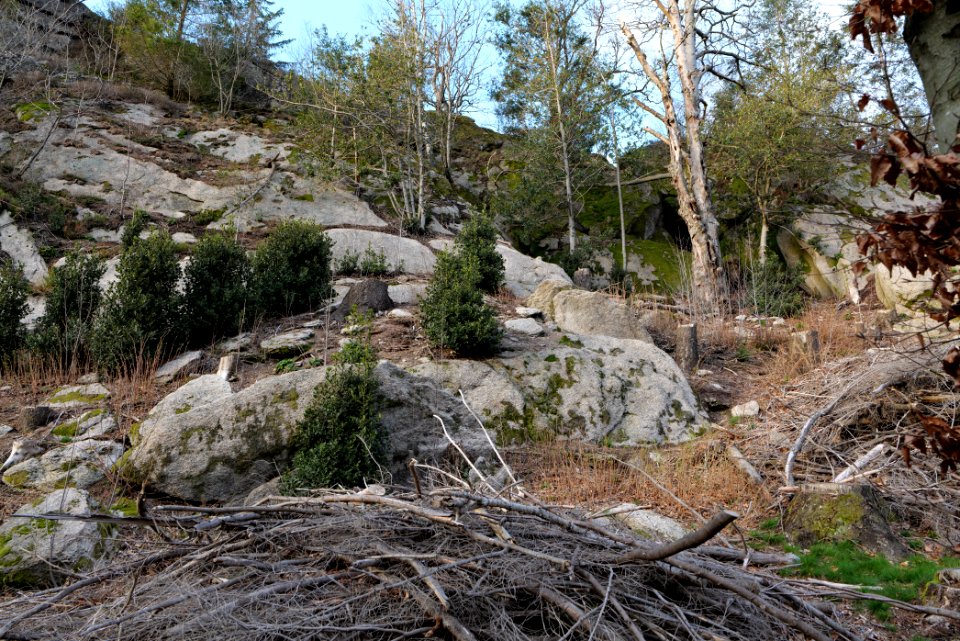 Falkenfelsen 2020-03-14 14