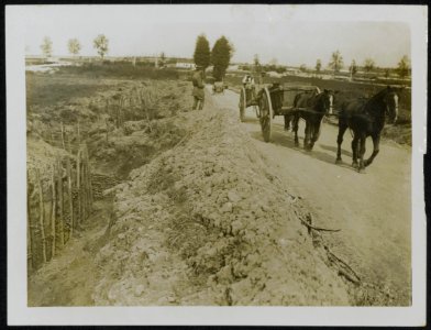 Farmers back among the trenches, Bestanddeelnr 158-0165