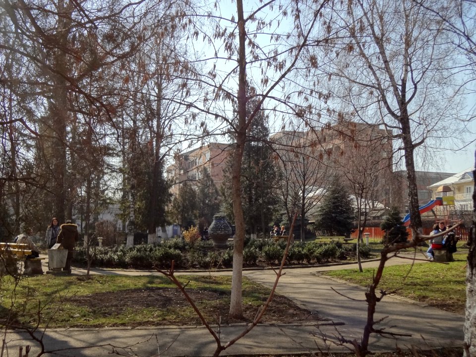 Falticeni parc 23 aout