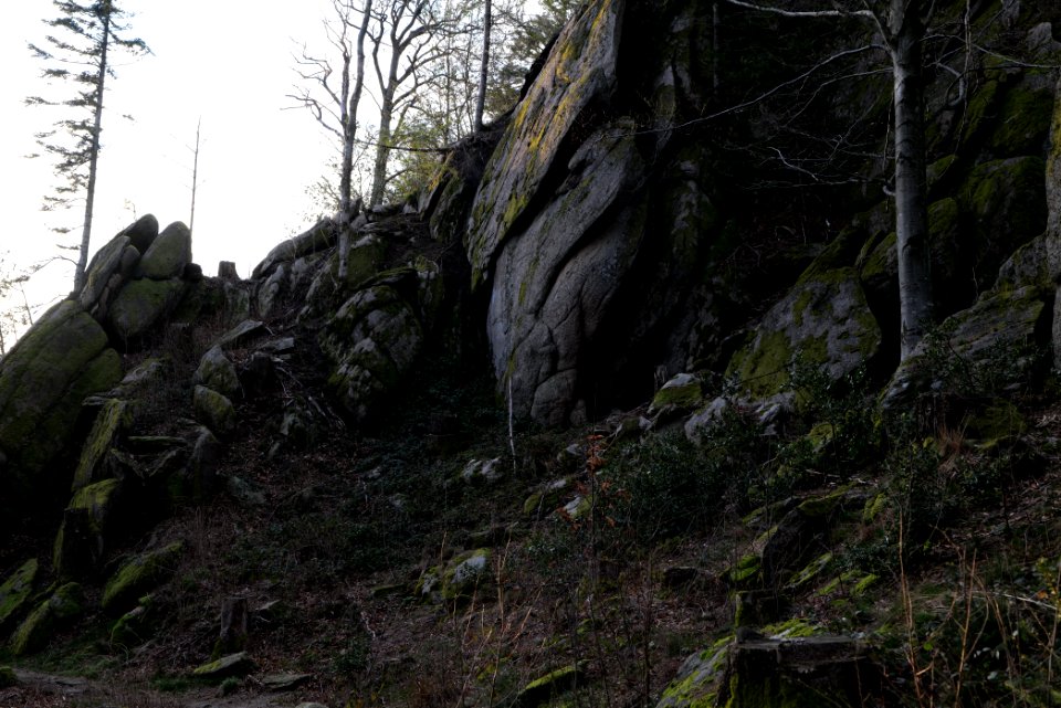 Falkenfelsen 2020-03-14 06