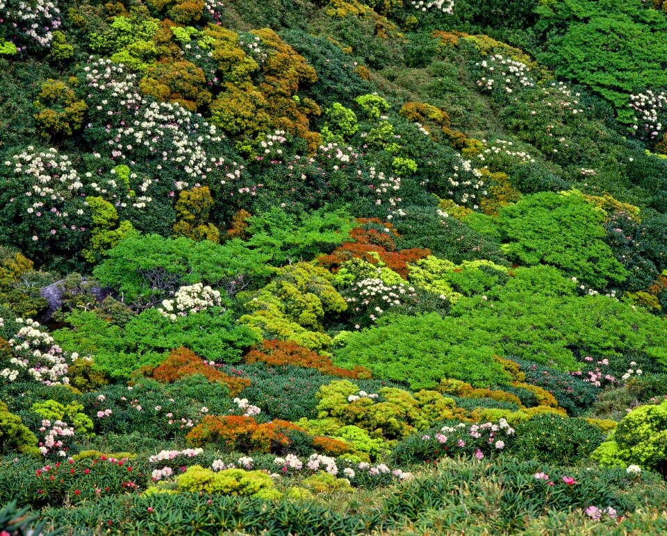 June world heritage region japan