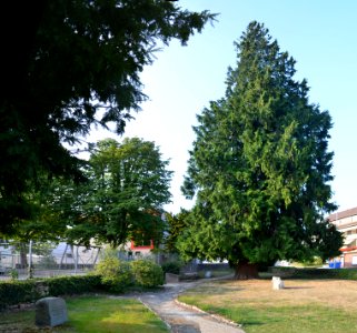 Falkenstein, Falkenstein, ehemaliger evangelischer Friedhof