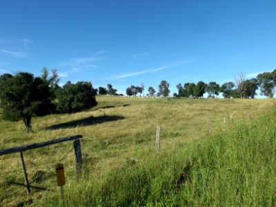 Farm at Teviotville