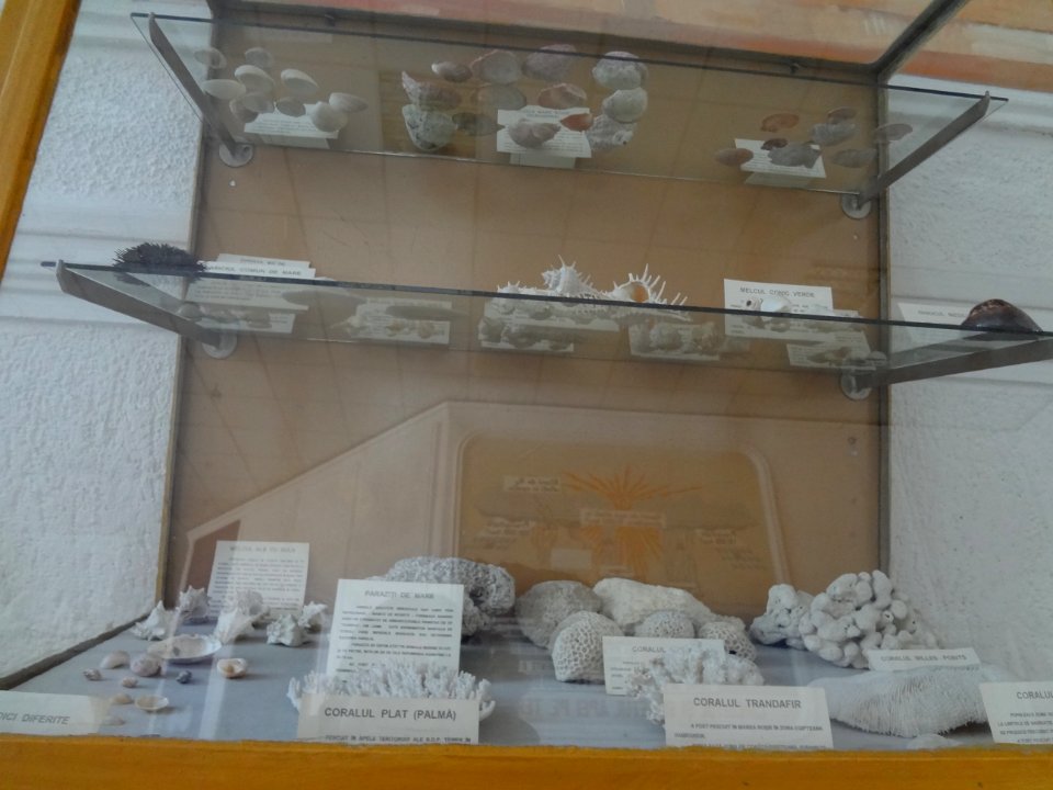 Falticeni musee mihai bacescu 42 dpnation caruntu 2